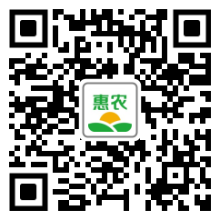 辣椒千金红价格1.2斤，代购代销模式助力农户增收
